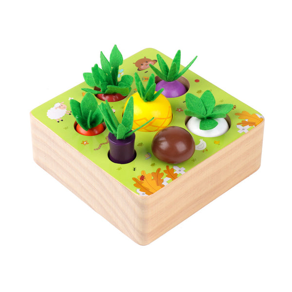 Montessori Vegetable Set
