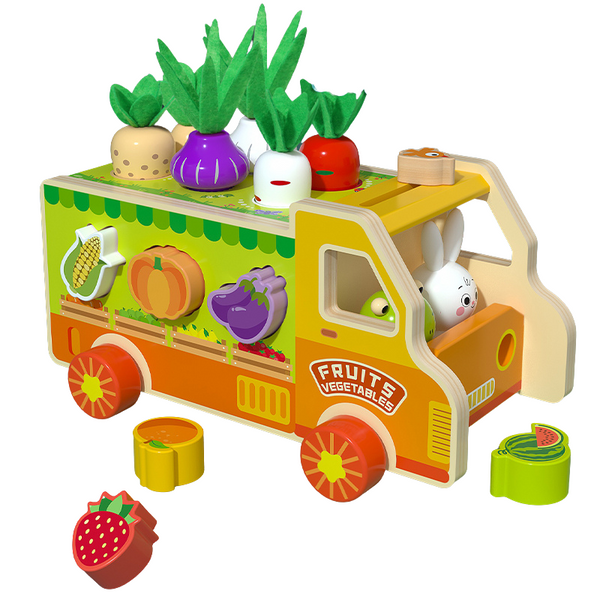 Montessori Toys for 2,3,4 Year Old Baby Boys and Girls, Wooden Shape Sorting Toys for Toddlers, Kids Age 1-3, Wood Preschool Learning Fine Motor Skills Game